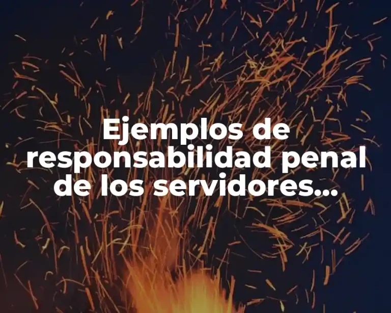 Ejemplos de responsabilidad penal de los servidores públicos en México