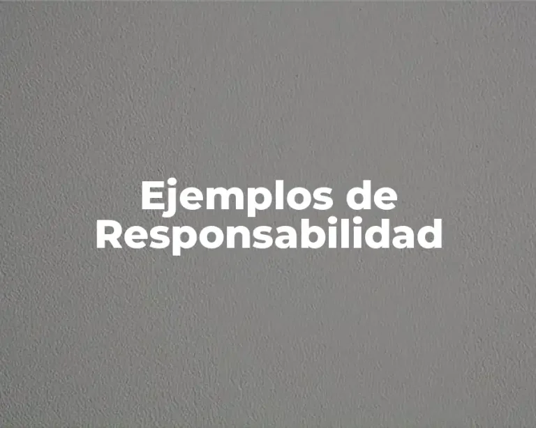 Ejemplos de Responsabilidad
