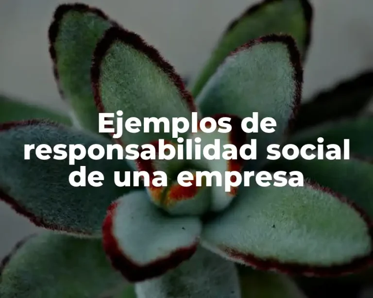 Ejemplos de responsabilidad social de una empresa