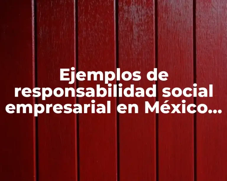 Ejemplos de responsabilidad social empresarial en México y Significado