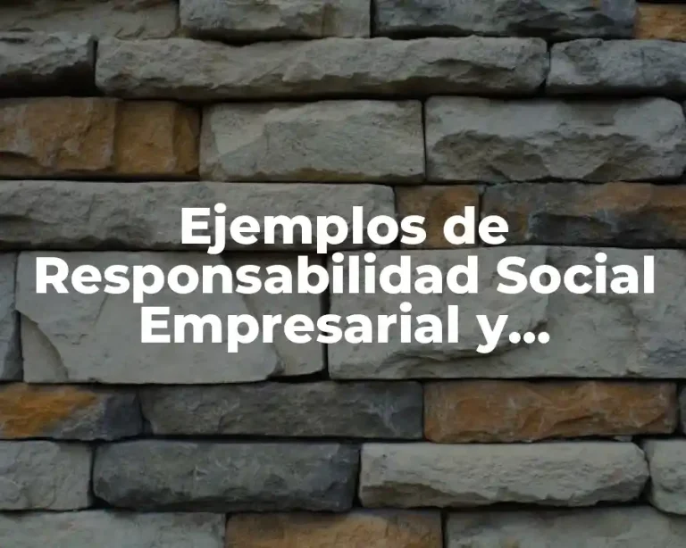Ejemplos de Responsabilidad Social Empresarial y Significado