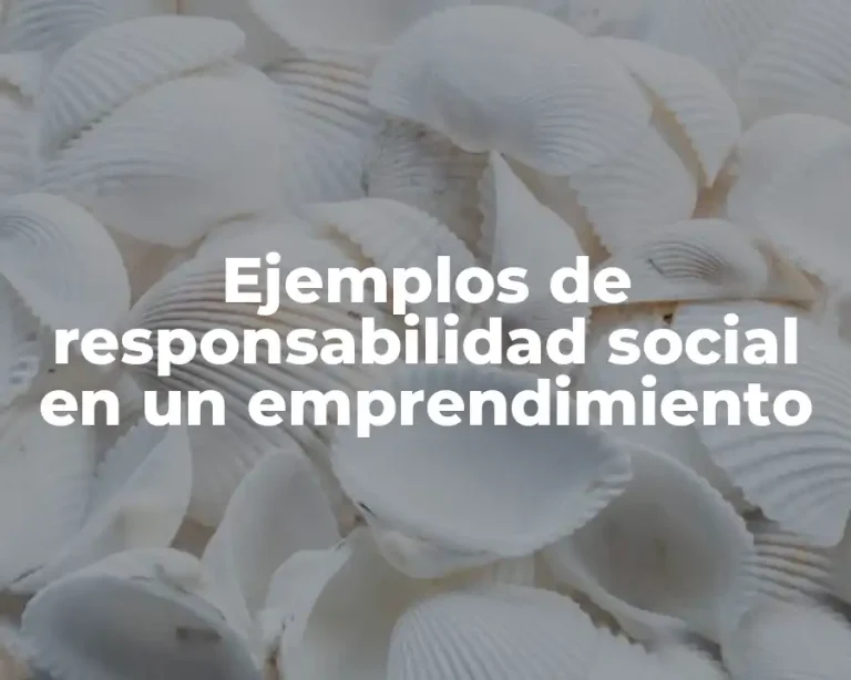 Ejemplos de responsabilidad social en un emprendimiento