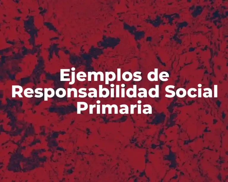 Ejemplos de Responsabilidad Social Primaria