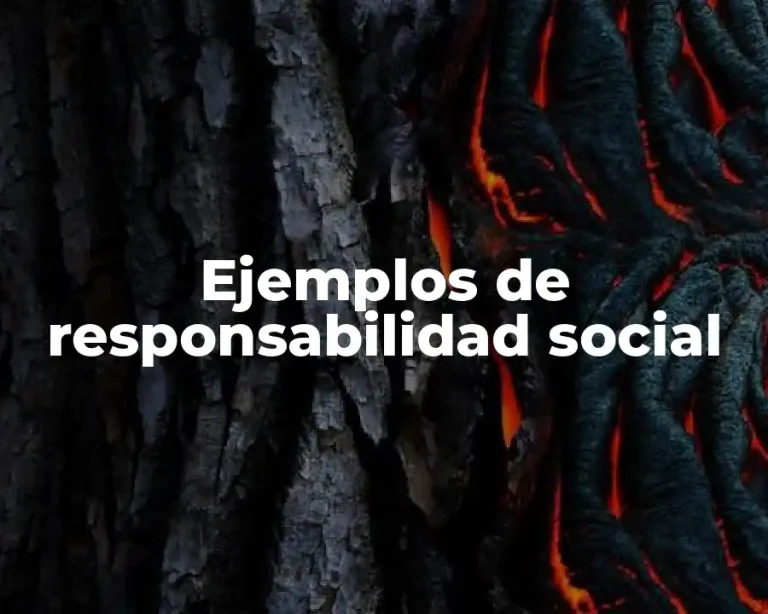 Ejemplos de responsabilidad social
