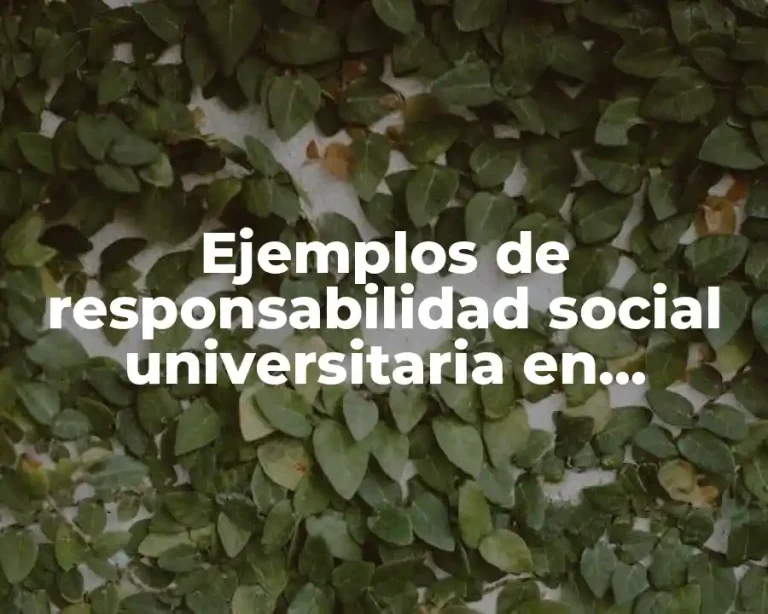 Ejemplos de responsabilidad social universitaria en Colombia