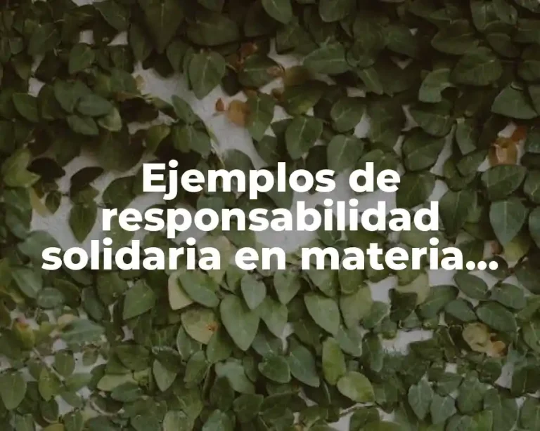 Ejemplos de responsabilidad solidaria en materia tributaria