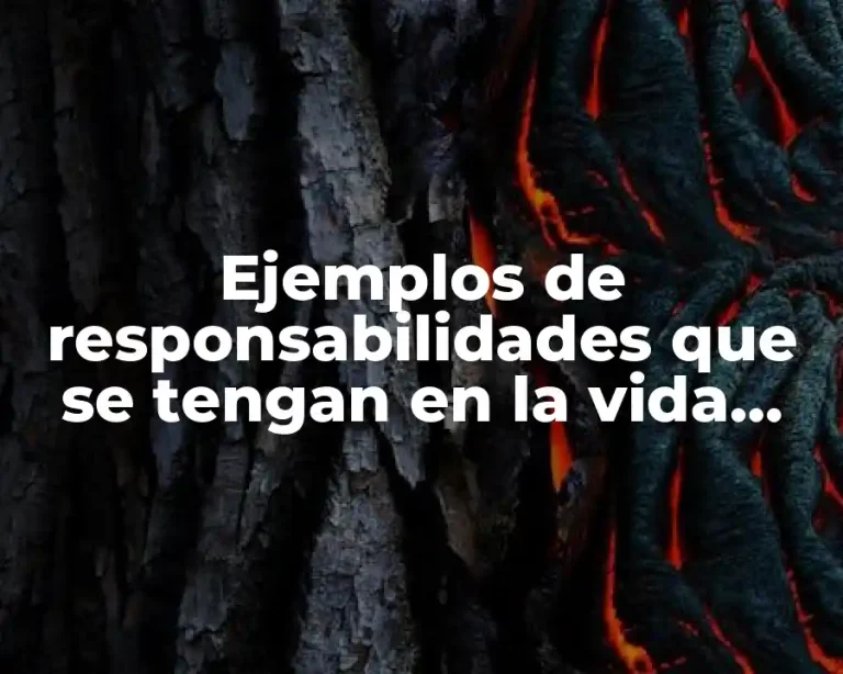 Ejemplos de responsabilidades que se tengan en la vida colectiva
