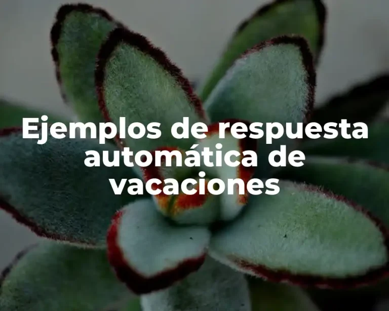 Ejemplos de respuesta automática de vacaciones