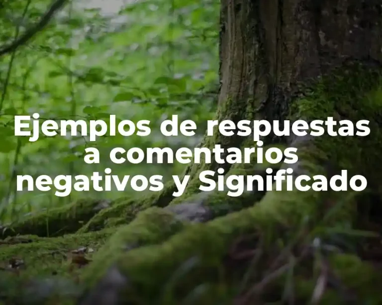 Ejemplos de respuestas a comentarios negativos y Significado