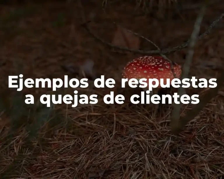 Ejemplos de respuestas a quejas de clientes