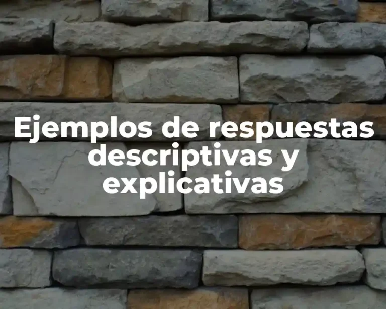 Ejemplos de respuestas descriptivas y explicativas
