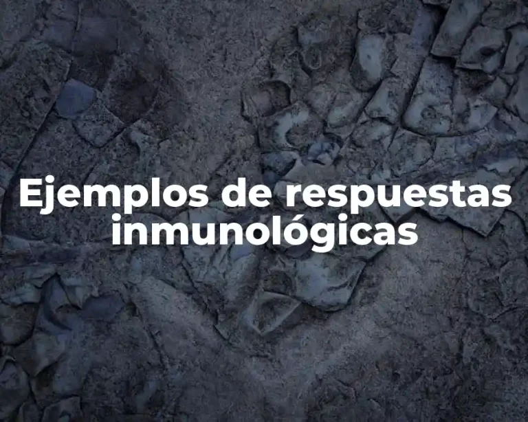 Ejemplos de respuestas inmunológicas