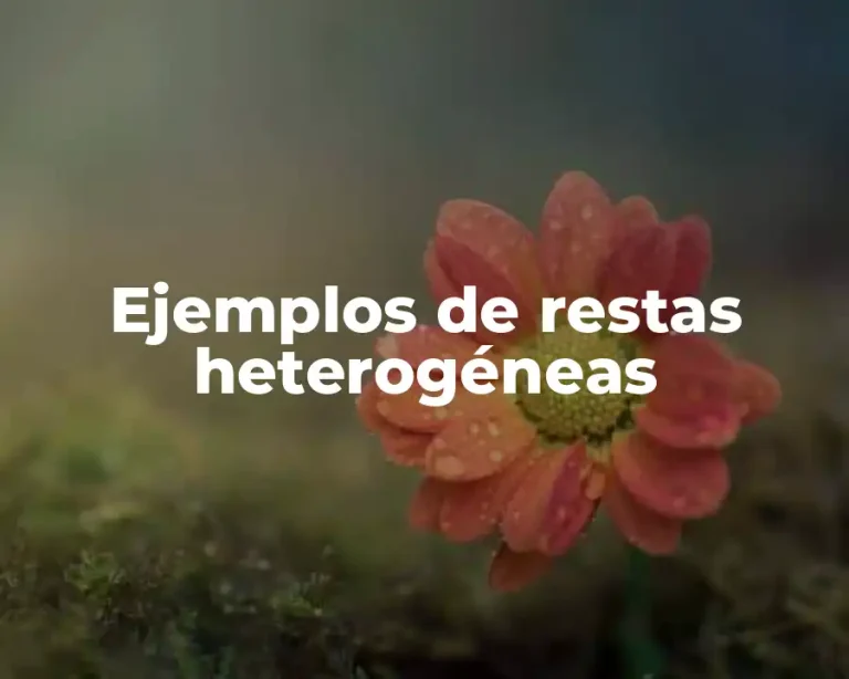 Ejemplos de restas heterogéneas