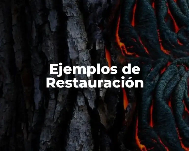 Ejemplos de Restauración