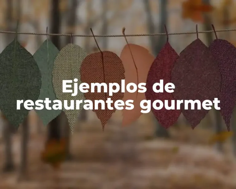Ejemplos de restaurantes gourmet
