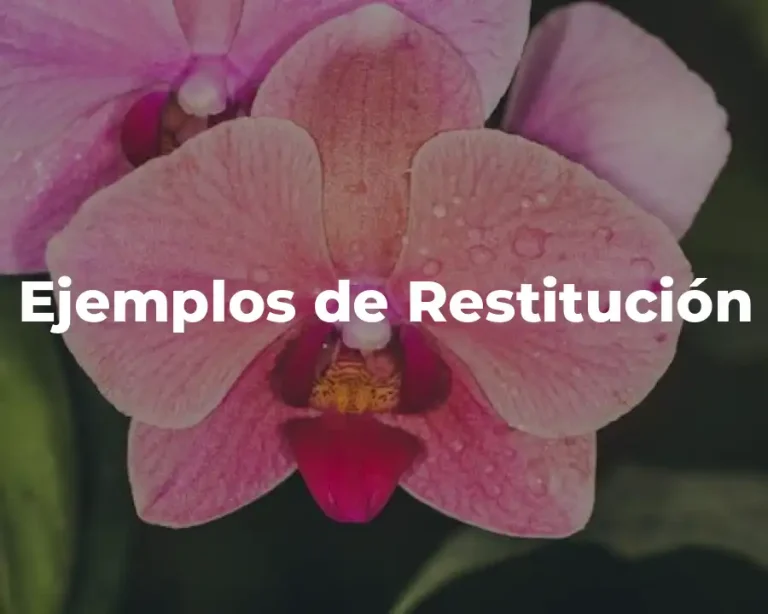 Ejemplos de Restitución