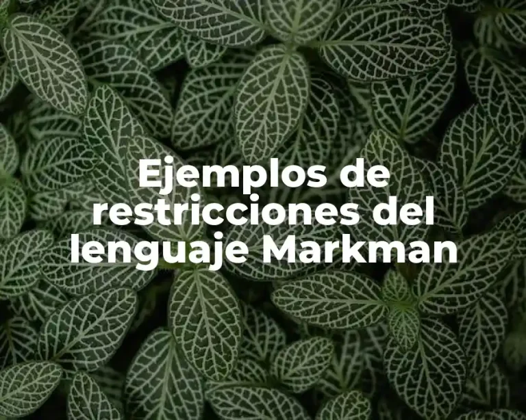 Ejemplos de restricciones del lenguaje Markman