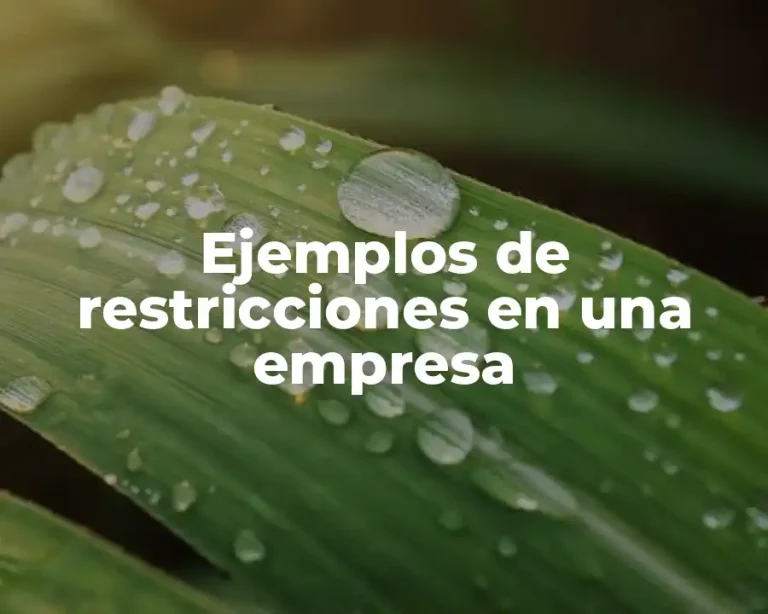 Ejemplos de restricciones en una empresa