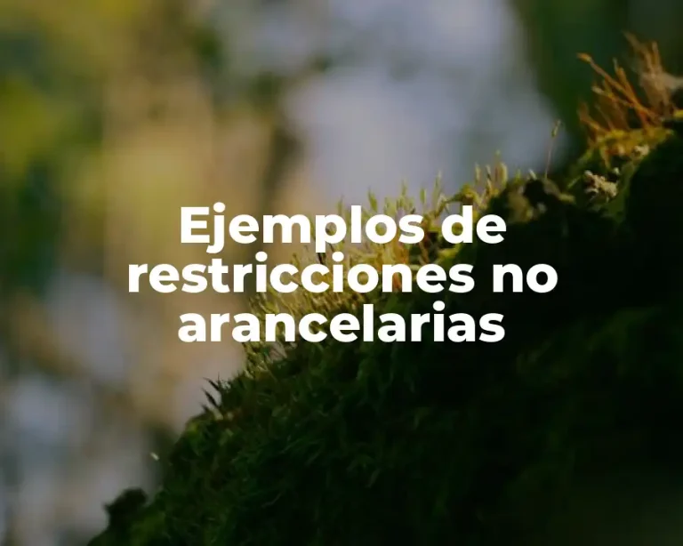 Ejemplos de restricciones no arancelarias
