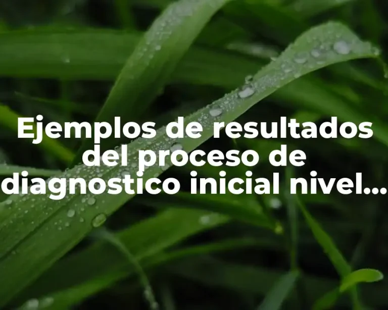Ejemplos de resultados del proceso de diagnostico inicial nivel preescolar y Significado