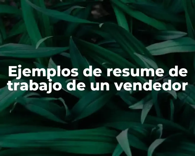 Ejemplos de resume de trabajo de un vendedor