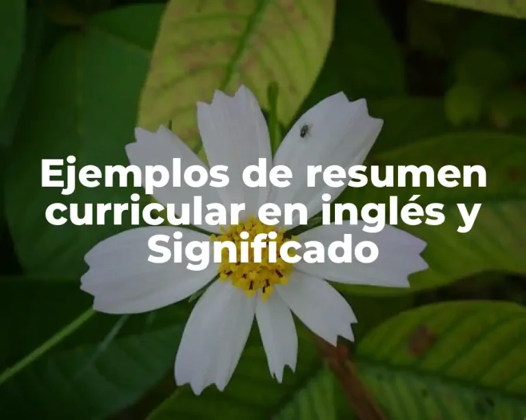 Ejemplos de resumen curricular en inglés y Significado