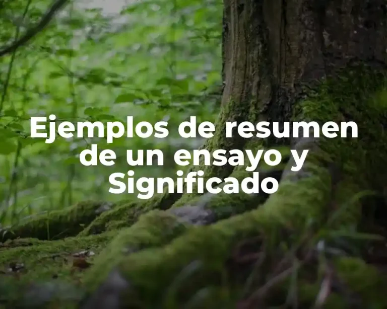 Ejemplos de resumen de un ensayo y Significado