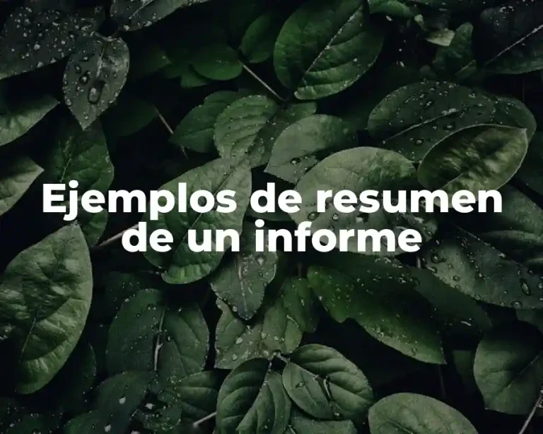 Ejemplos de resumen de un informe