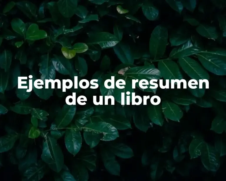 Ejemplos de resumen de un libro