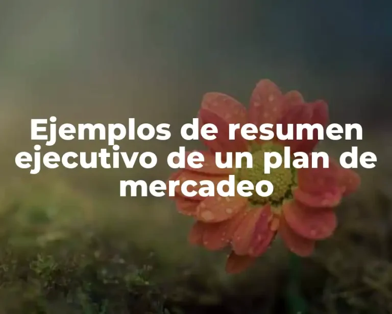 Ejemplos de resumen ejecutivo de un plan de mercadeo