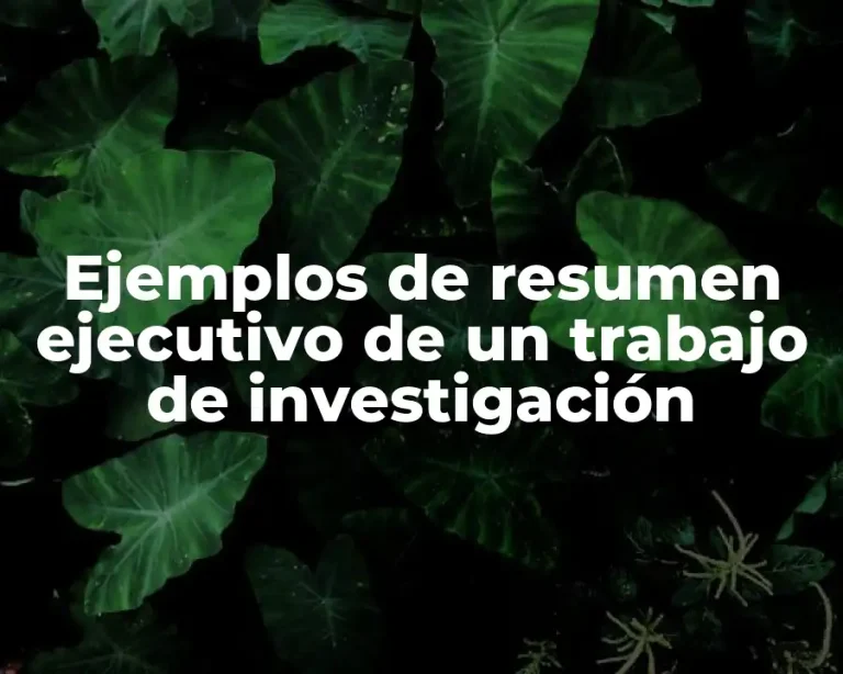 Ejemplos de resumen ejecutivo de un trabajo de investigación