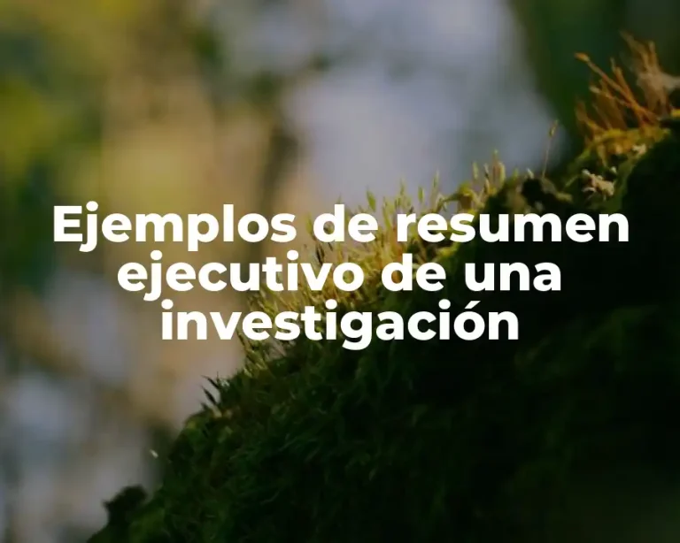 Ejemplos de resumen ejecutivo de una investigación