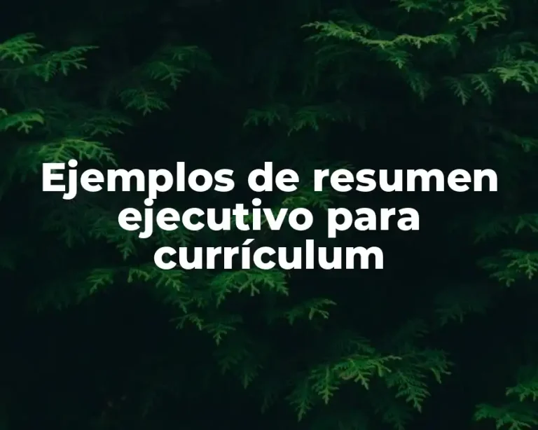 Ejemplos de resumen ejecutivo para currículum