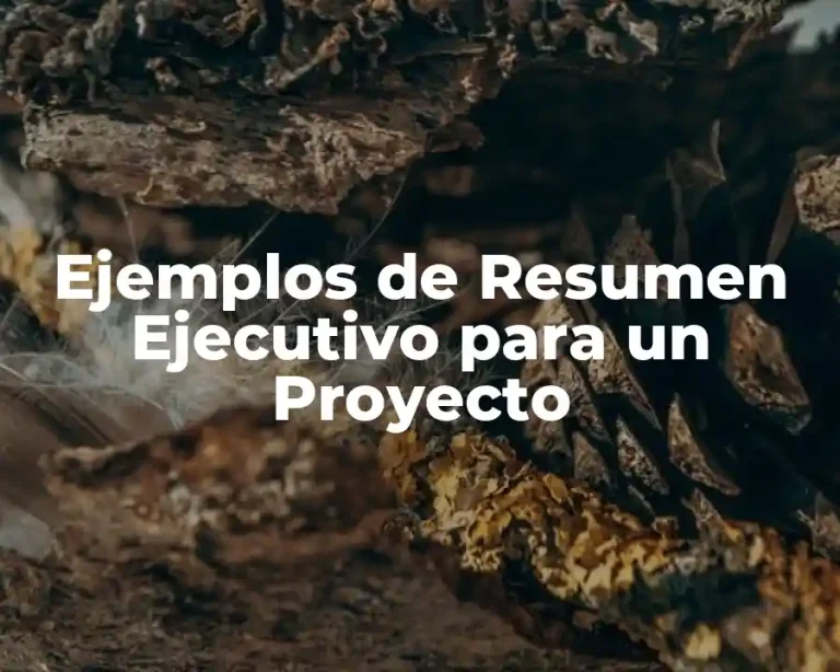 Ejemplos de Resumen Ejecutivo para un Proyecto