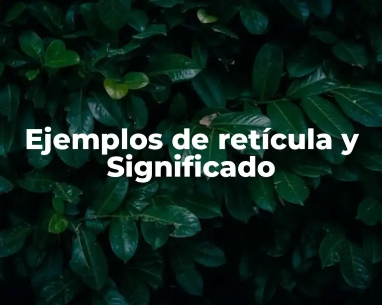 Ejemplos de retícula y Significado