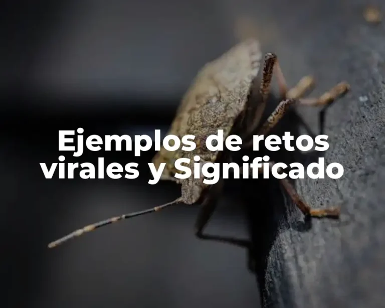 Ejemplos de retos virales y Significado