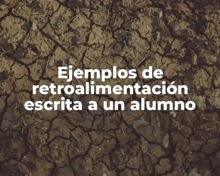 Ejemplos de retroalimentación escrita a un alumno