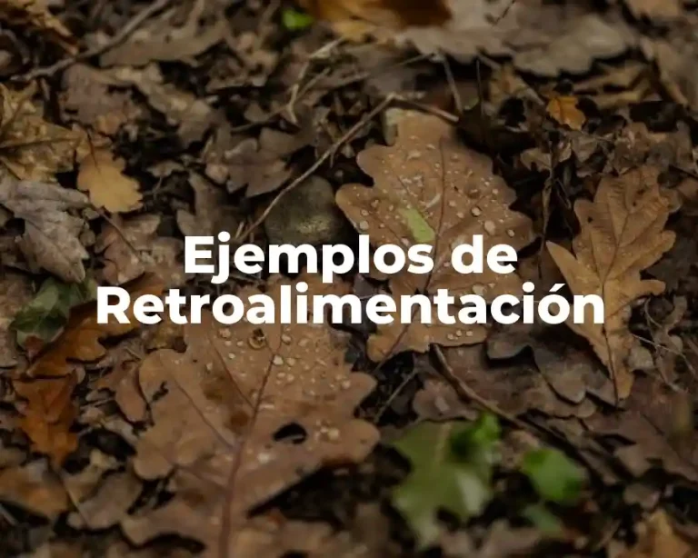 Ejemplos de Retroalimentación