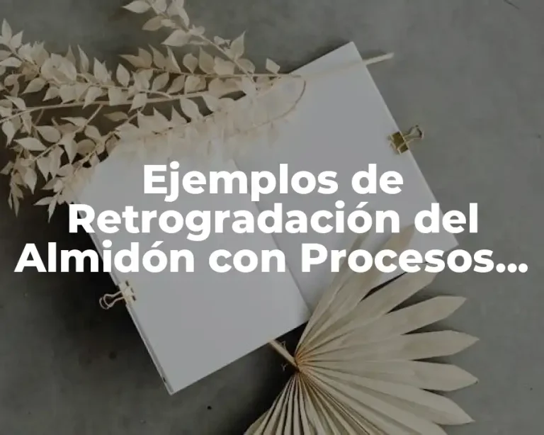 Ejemplos de Retrogradación del Almidón con Procesos de la Industria y Significado