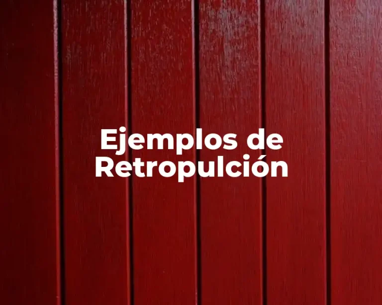 Ejemplos de Retropulción