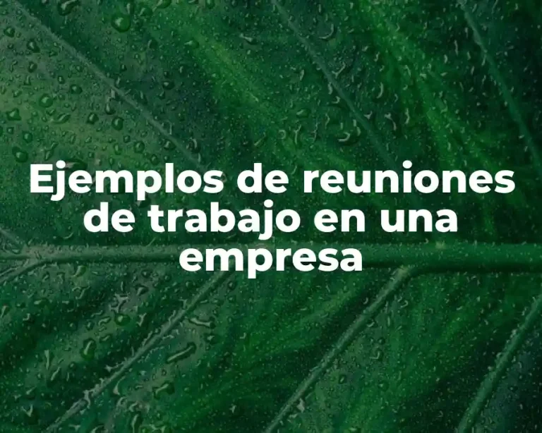 Ejemplos de reuniones de trabajo en una empresa