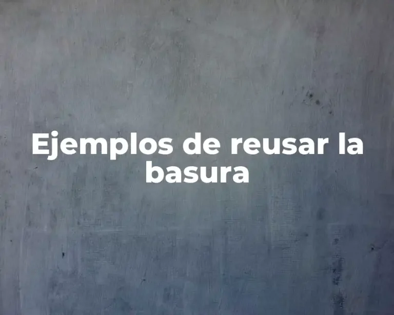 Ejemplos de reusar la basura