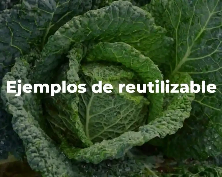 Ejemplos de reutilizable
