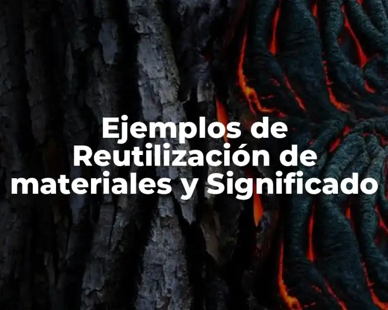 Ejemplos de Reutilización de materiales y Significado