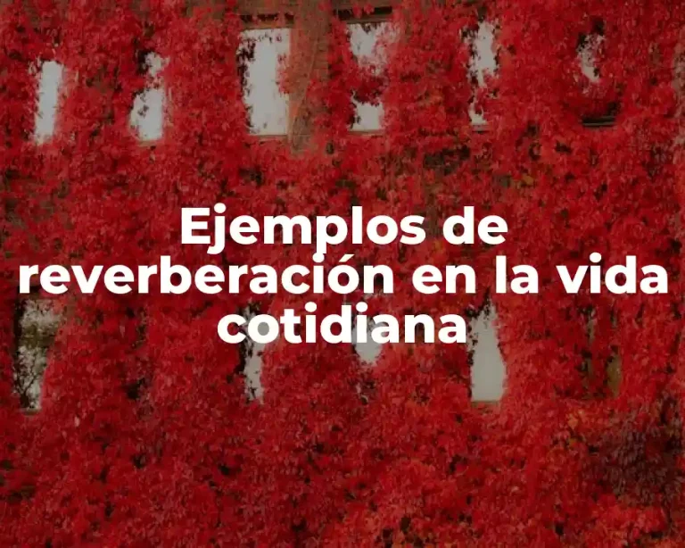 Ejemplos de reverberación en la vida cotidiana
