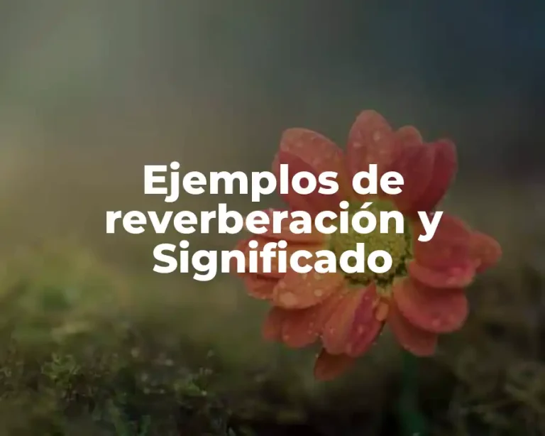 Ejemplos de reverberación y Significado