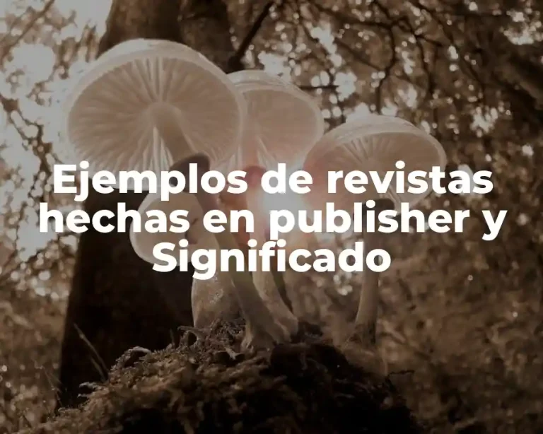 Ejemplos de revistas hechas en publisher y Significado
