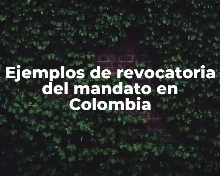 Ejemplos de revocatoria del mandato en Colombia