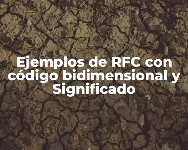 Ejemplos de RFC con código bidimensional y Significado