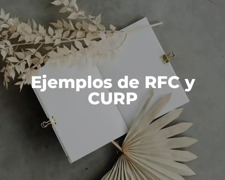 Ejemplos de RFC y CURP